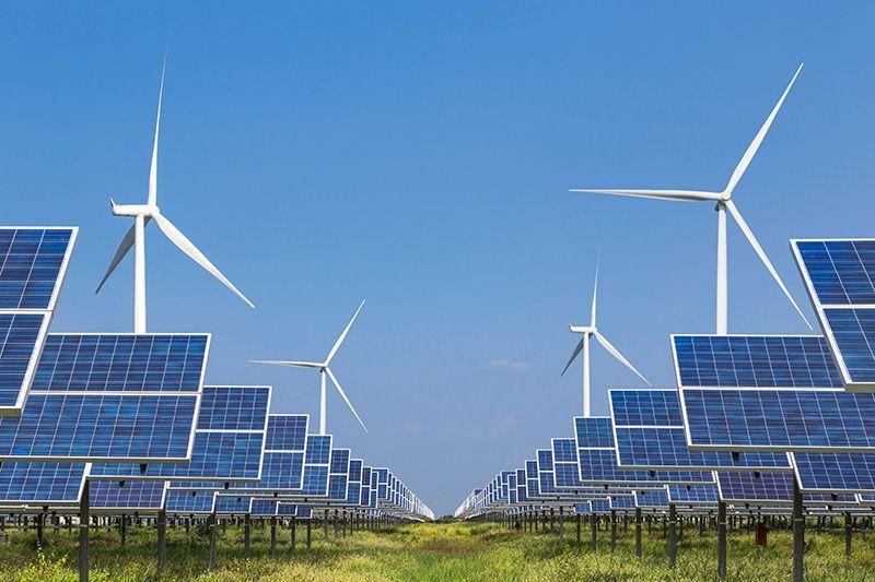 Local energy networks. Solar and wind turbines in a field