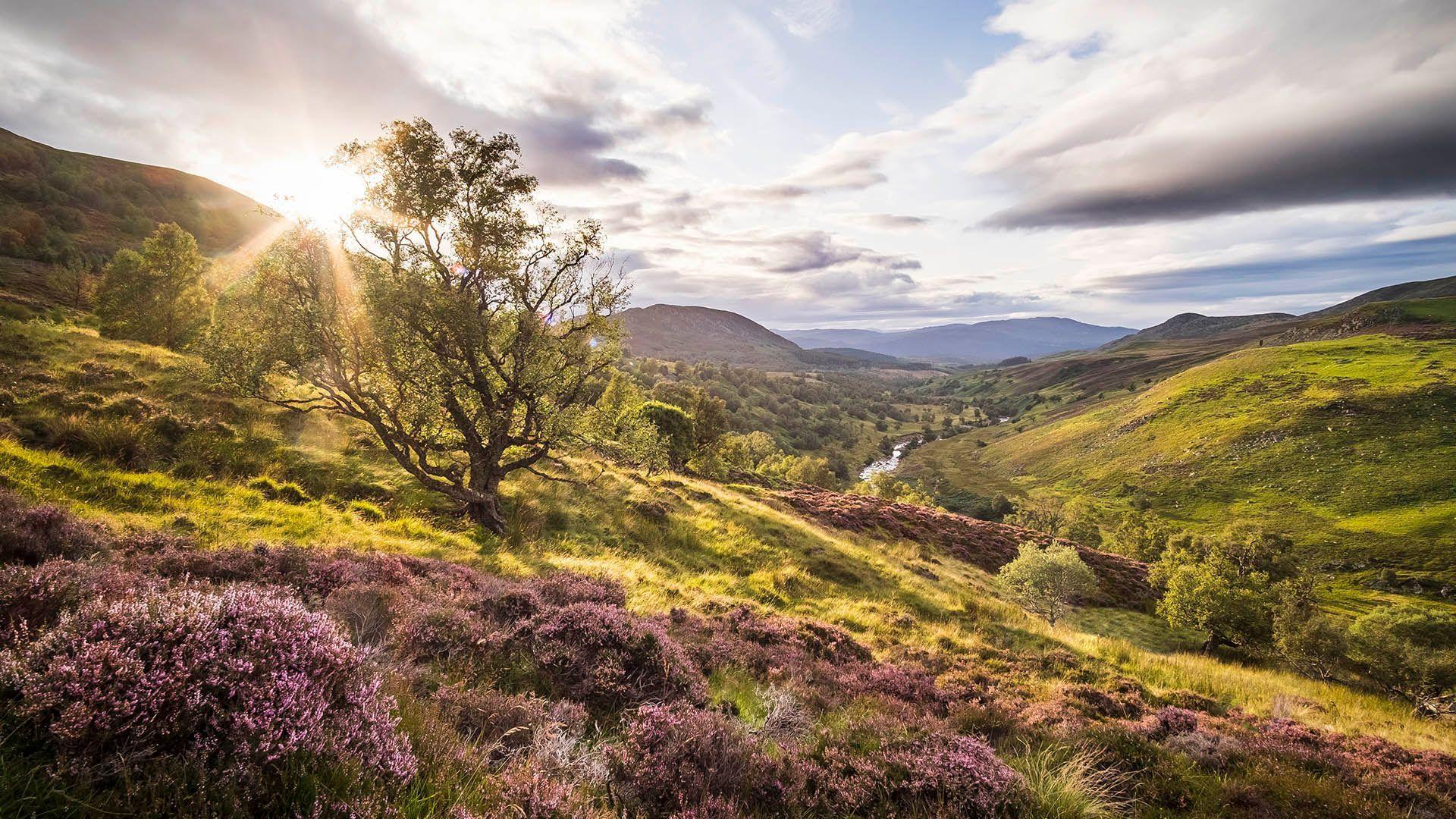 Rewilding Scotland with the Natural Capital Laboratory project.