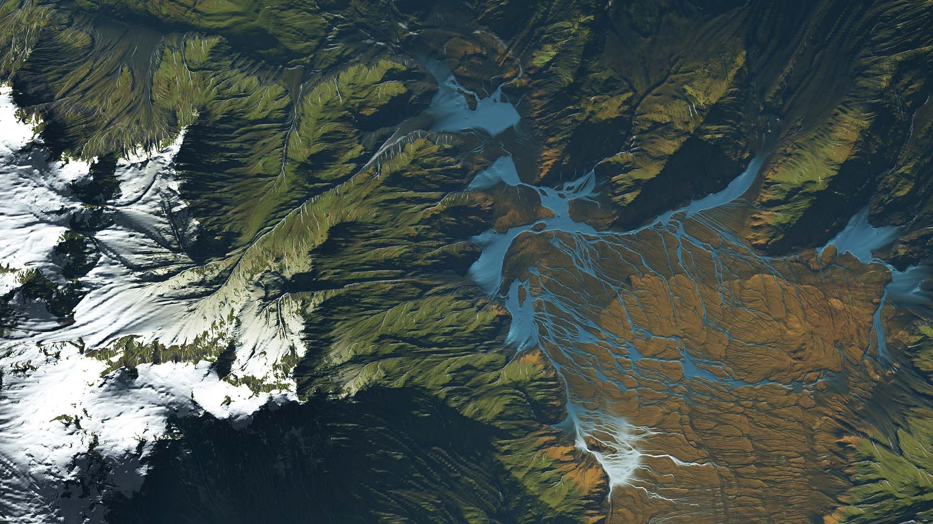 Section Image