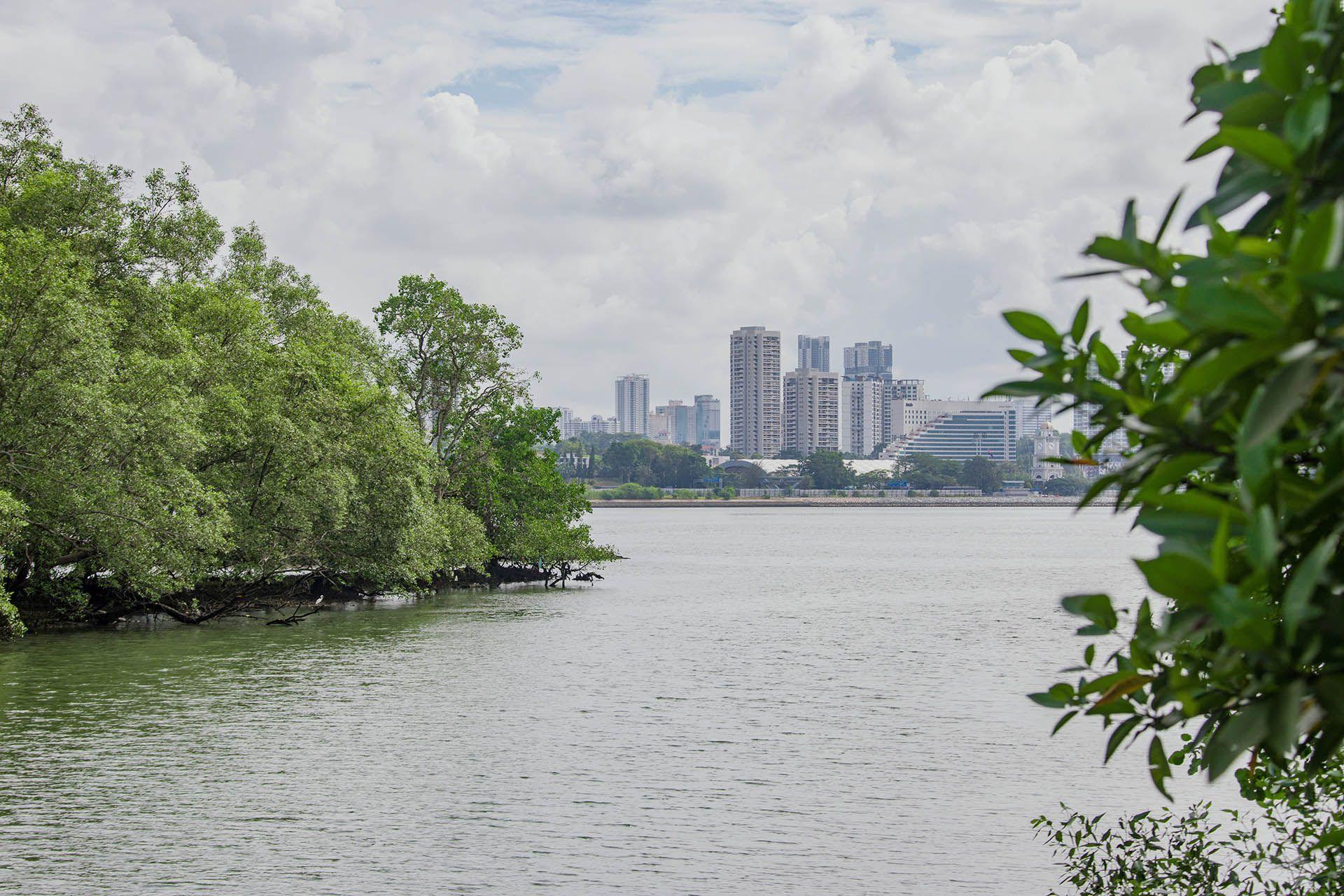a river with tower blocks in the distance